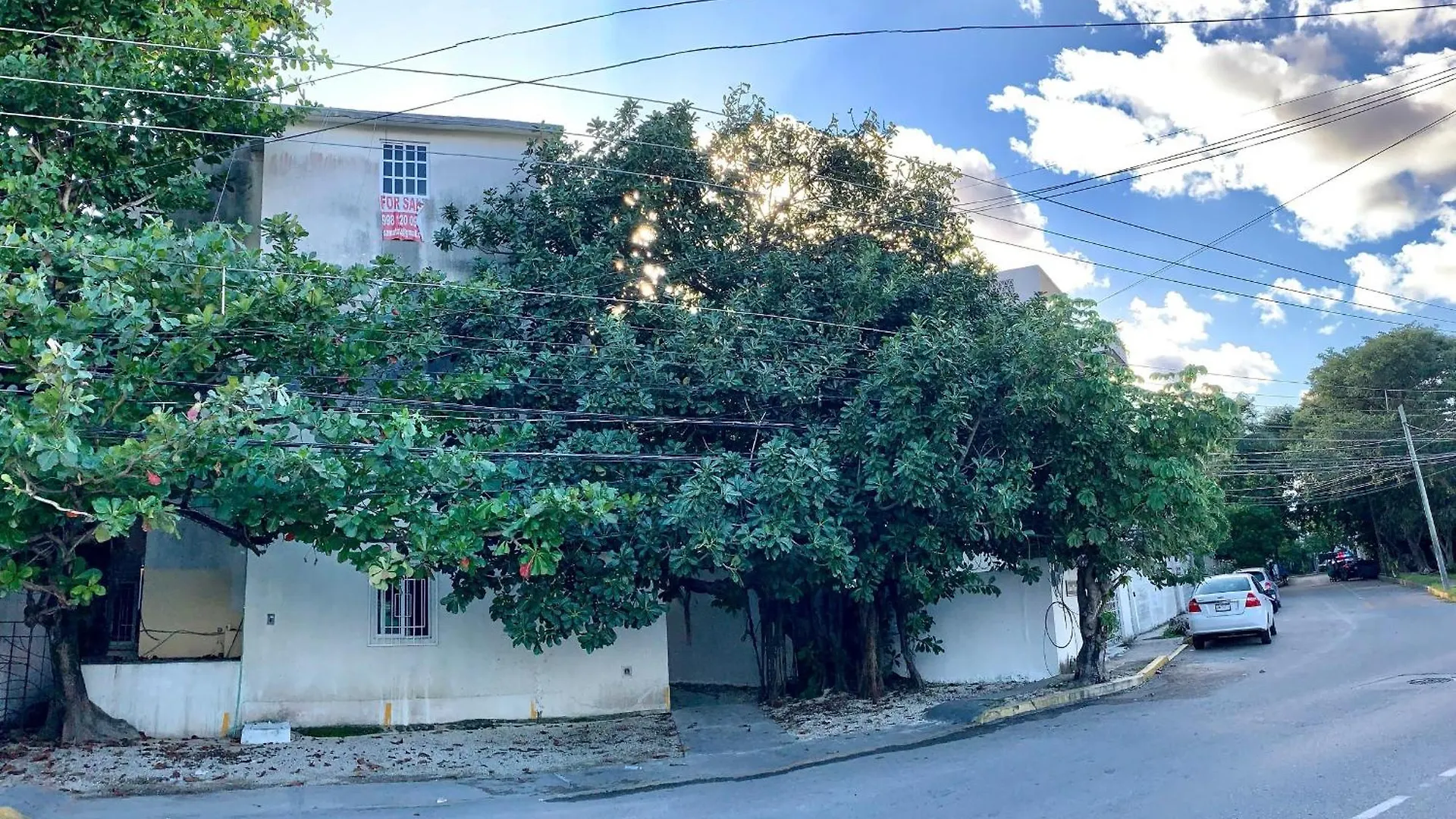 Apartment Coral Near Mamitas Beach contacts